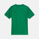 Camisa Palmeiras 2025 – Treino