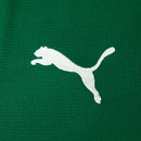 Camisa Puma Palmeiras 2026/27 I Jogador