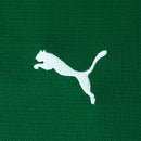 Conjunto Infantil Palmeiras 2026/27 I