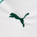 Conjunto Infantil Palmeiras 2026/27 II