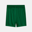 Shorts Palmeiras 2025 II – Torcedor